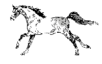 Animated running horse 