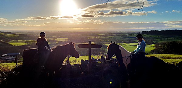 View whilst pony trekking in the North York Moors national park