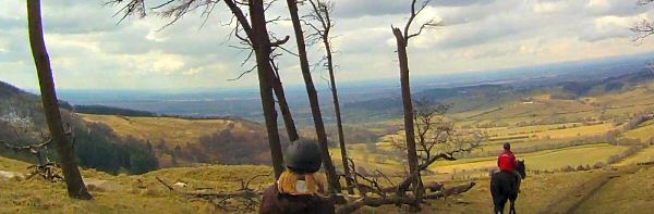 View whilst trail ridiing in the North York Moors national park