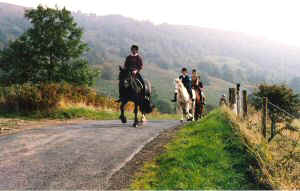 Horse riding in the North York Moors National park