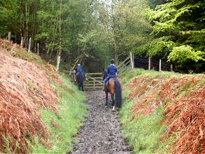 Ascending a bridle path up to the moors