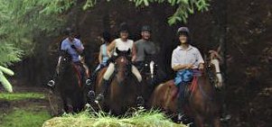 Trail riding North Yorkshire